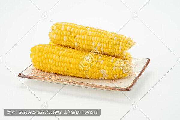 玉米