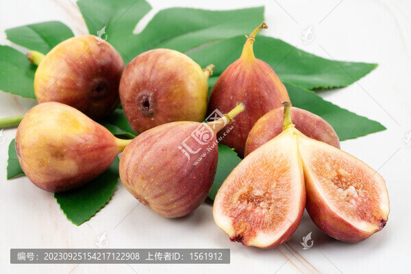 無(wú)花果