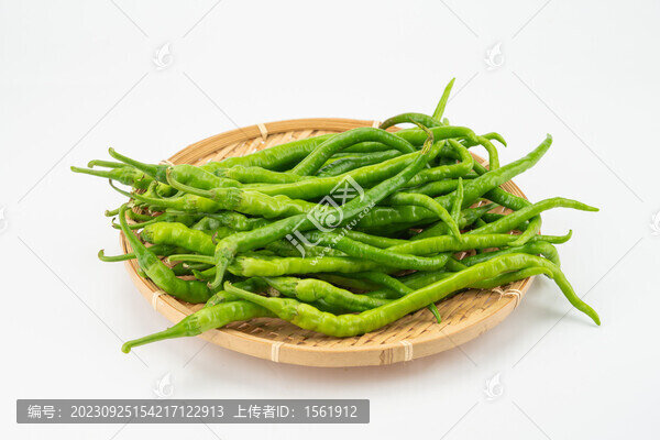 線辣椒