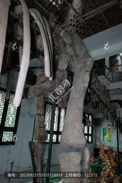 參觀恐龍博物館