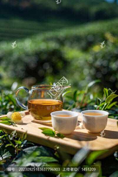 茶文化