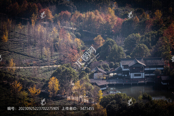 山林秋意