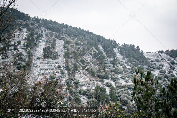 蘇州樹山村