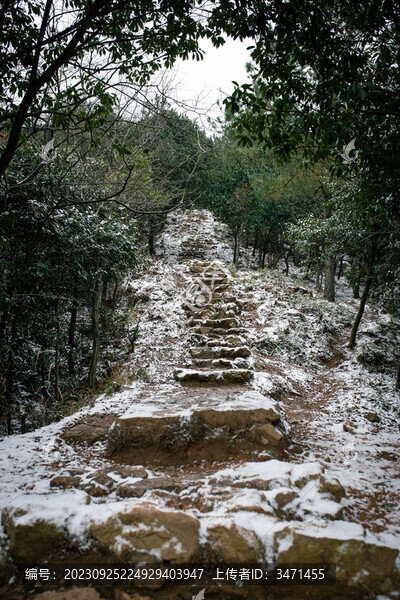 樹山雪景