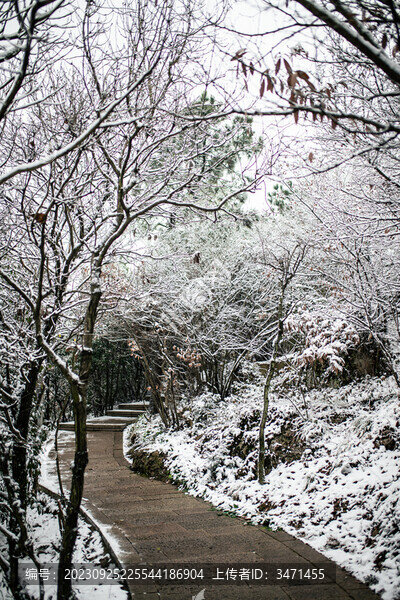 秦余積雪