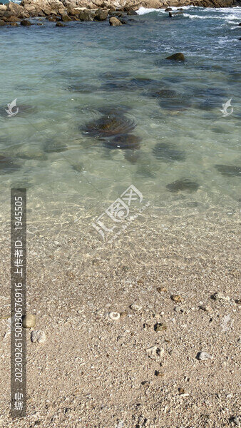 海南風(fēng)光