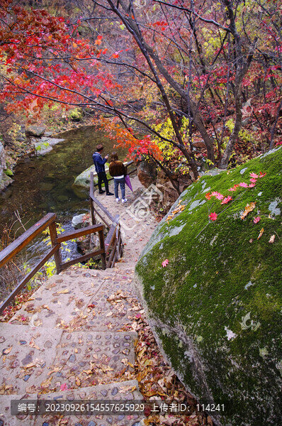 本溪老邊溝深秋紅葉