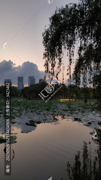 深圳洪湖公園的傍晚