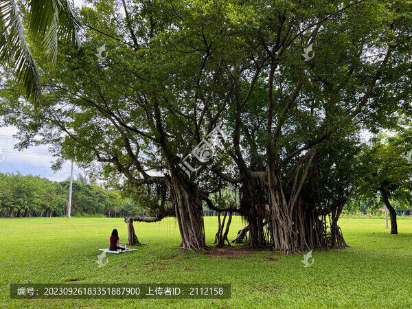 ?？谌f綠園