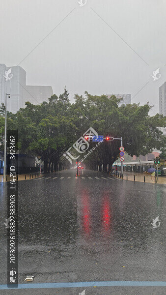 下雨天的公路