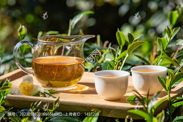 茶文化
