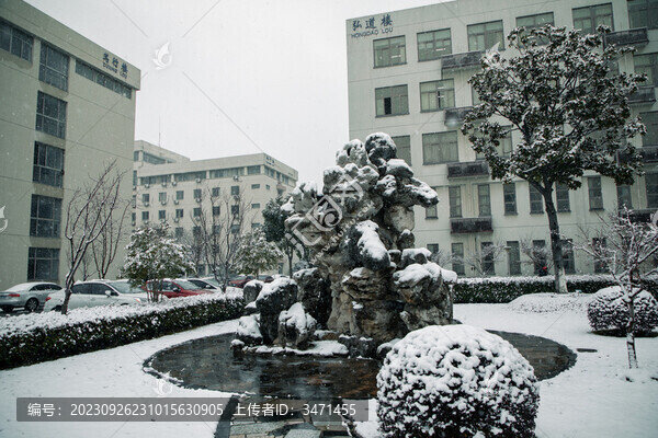 雪中太湖石