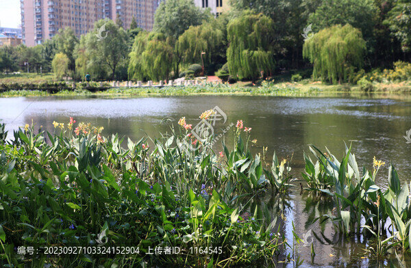 日照沙墩河公園風(fēng)光
