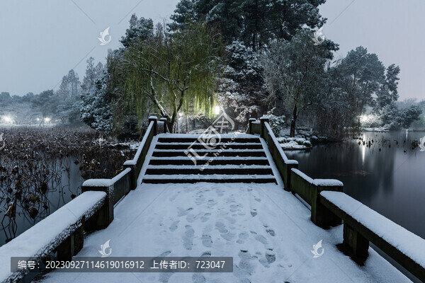 杭州曲院風(fēng)荷雪韻