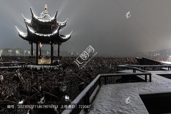 杭州曲院風(fēng)荷雪韻