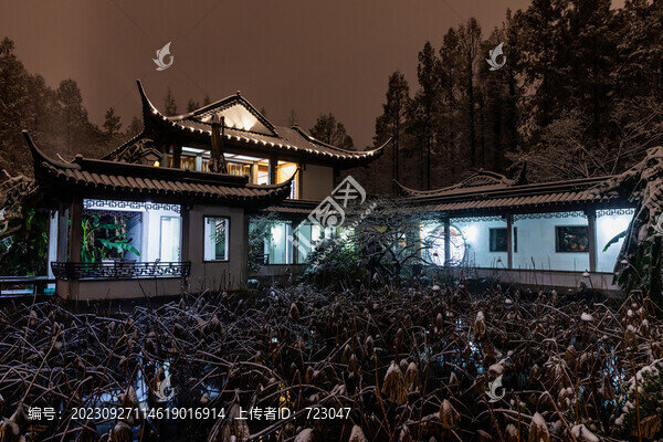 杭州曲院風(fēng)荷雪韻