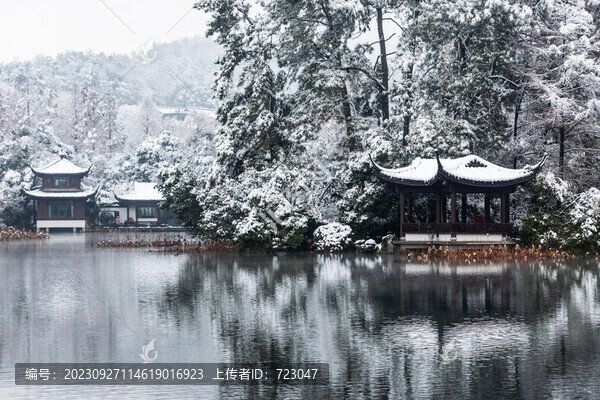 杭州曲院風(fēng)荷雪韻
