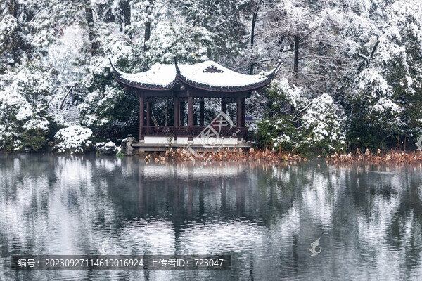 杭州曲院風荷雪韻
