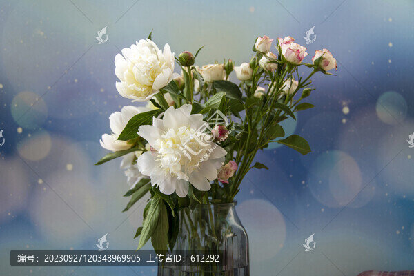 芍藥與玫瑰