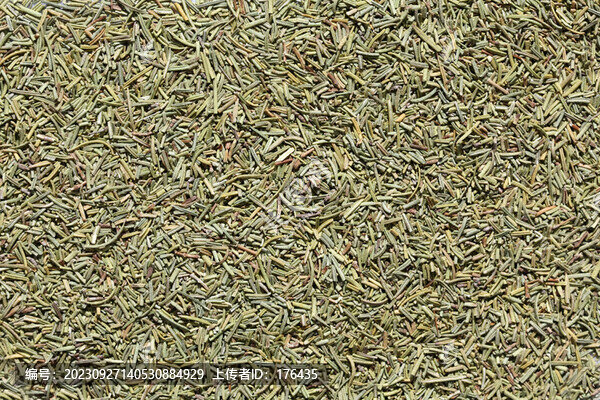 香料種子