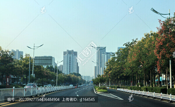 道路綠化