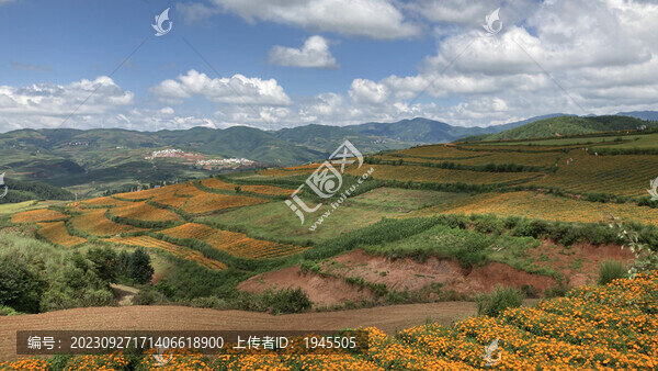 云南紅土地