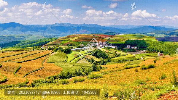 云南紅土地