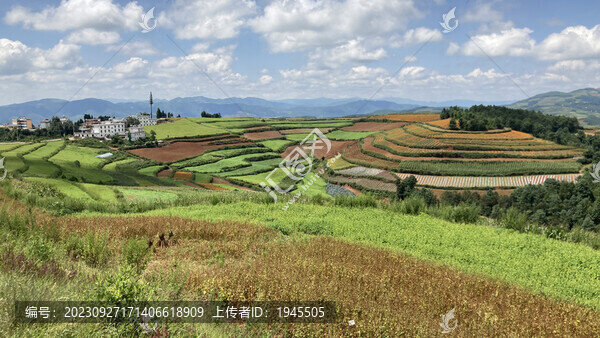 云南紅土地