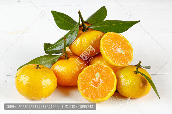 砂糖桔