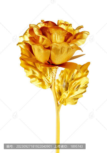 黃金玫瑰花