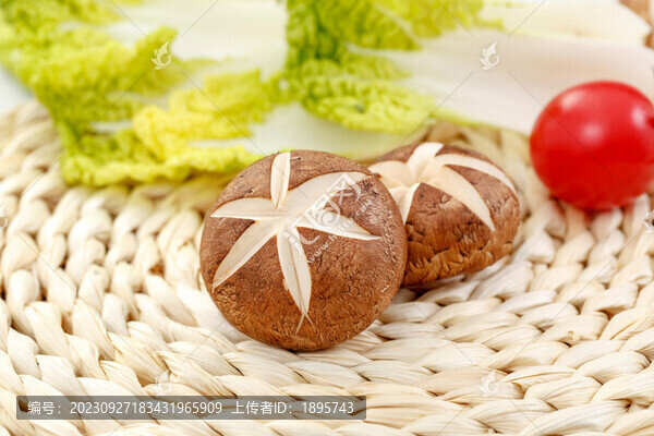 香菇