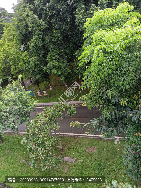 航拍步道