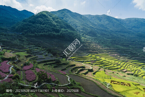 覆卮山梯田