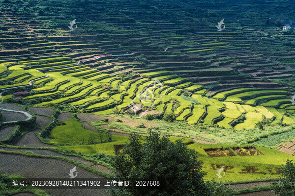 覆卮山梯田