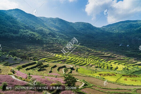 覆卮山梯田