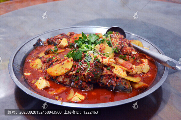 海稍魚洱海