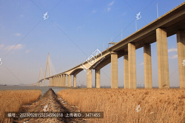 蘇通長江大橋
