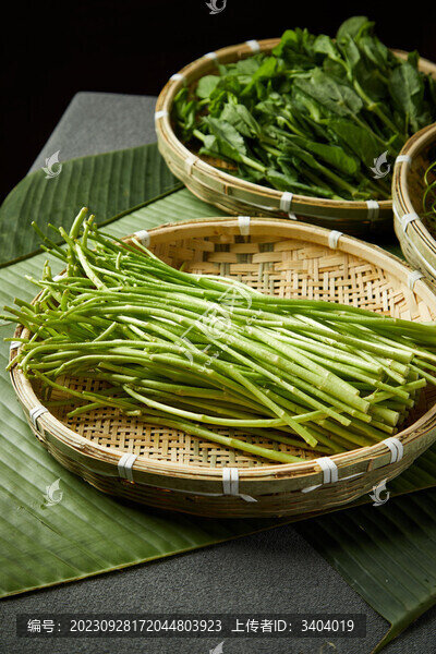 大理海菜