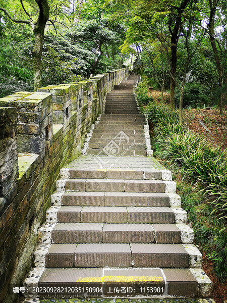 旅游步道