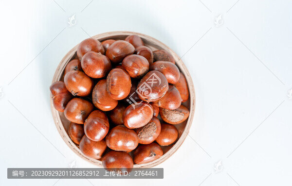 糖炒栗子白底圖
