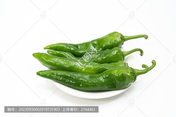 青椒白底圖