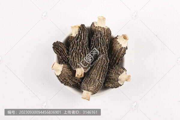羊肚菌圖片俯視圖拍攝