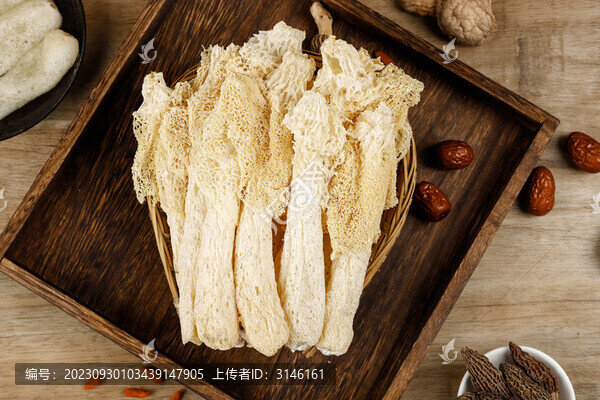 籃子里的竹蓀