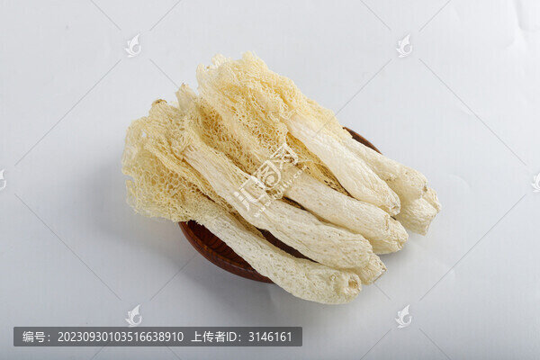 竹蓀高清圖片