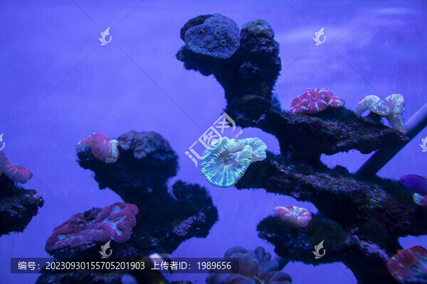 海洋世界