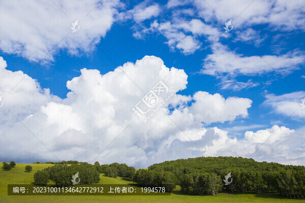 草地