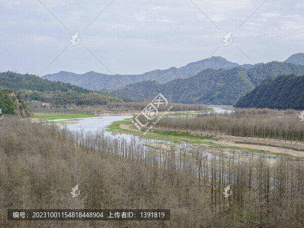 落羽杉濕地公園