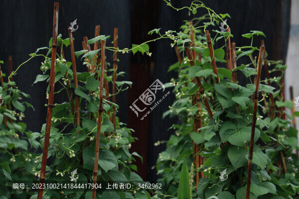 雨后農(nóng)家