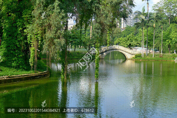 園林景觀