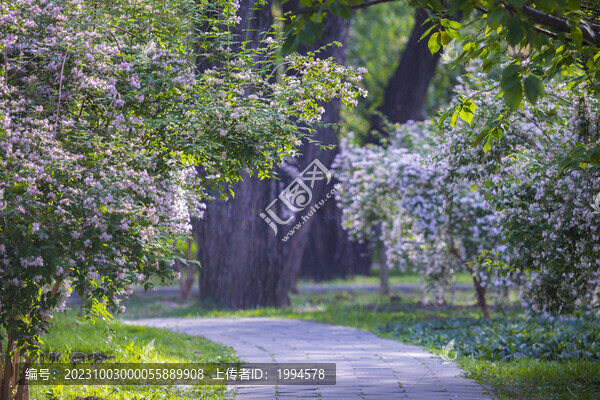 花園
